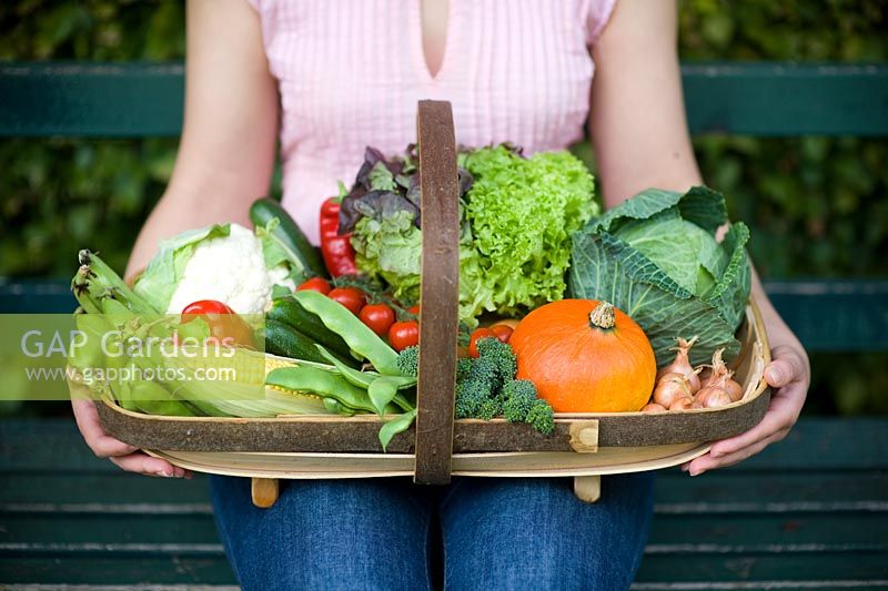 Woman sitting on a garden bench holding a wooden trug of autumn vegetables 