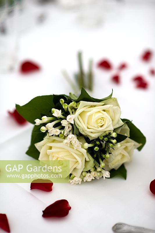 bouquet of white roses on white table linen with red rose petals