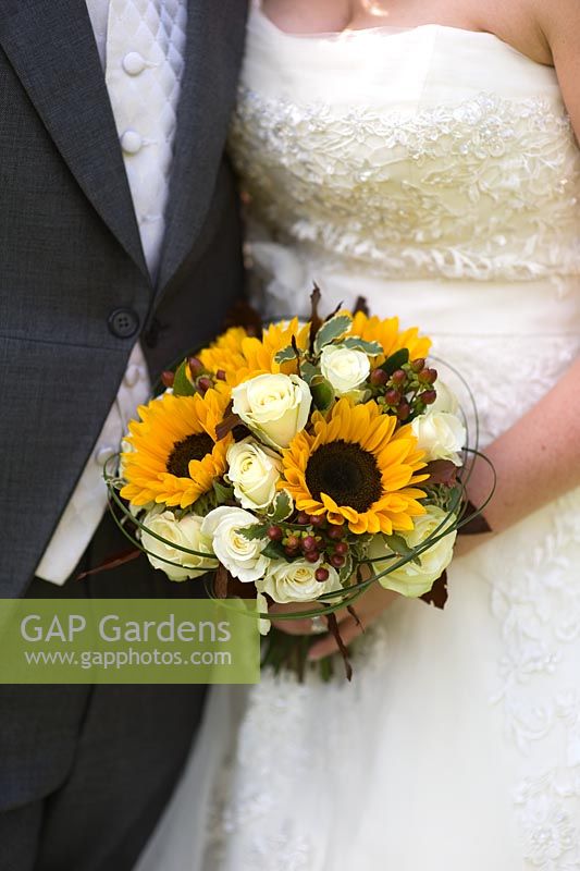 wedding bouquet of white roses and sunflower held by a bride