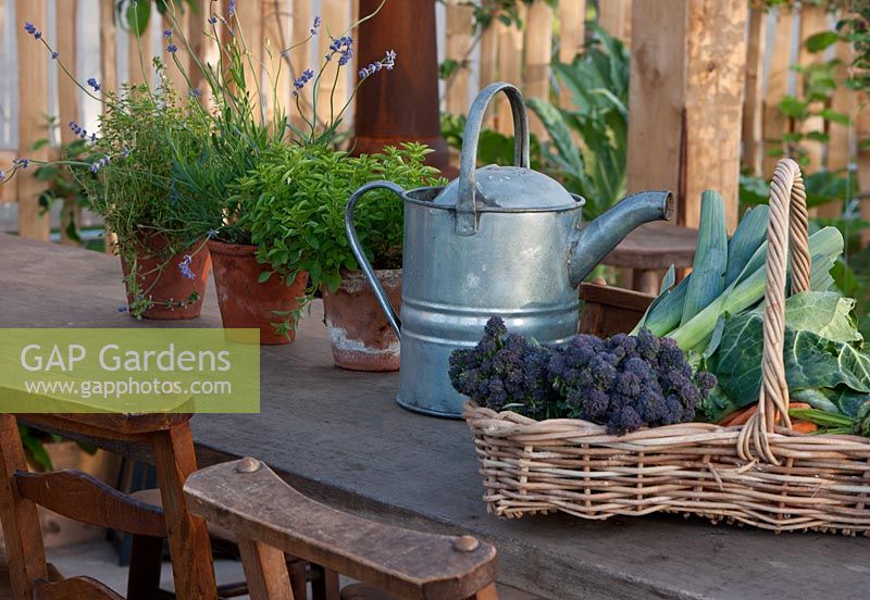 'My Very Local Veg Garden' - Gold Medal Winner, RHS Malvern Spring Gardening Show 2011