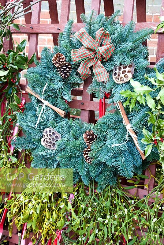 Blue Spruce wreath and Christmas foliage for sale