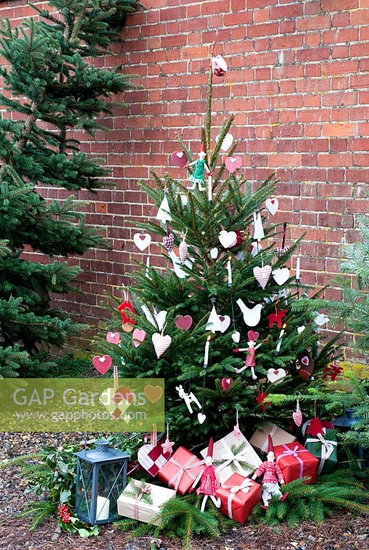 Dressed Christmas tree with trees for sale