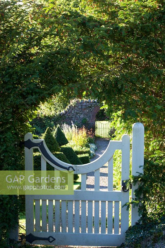 Wooden gate through to formal garden with topiary pyramids  - Gillian Archer's garden, Perrycroft, Worcestershire, autumn. 
