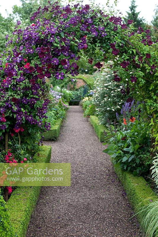 Gravel path and arch with Clematis 'Royal Velours' and Clematis 'Etoile Violette' - Wollerton Old Hall Garden, Shropshire
 