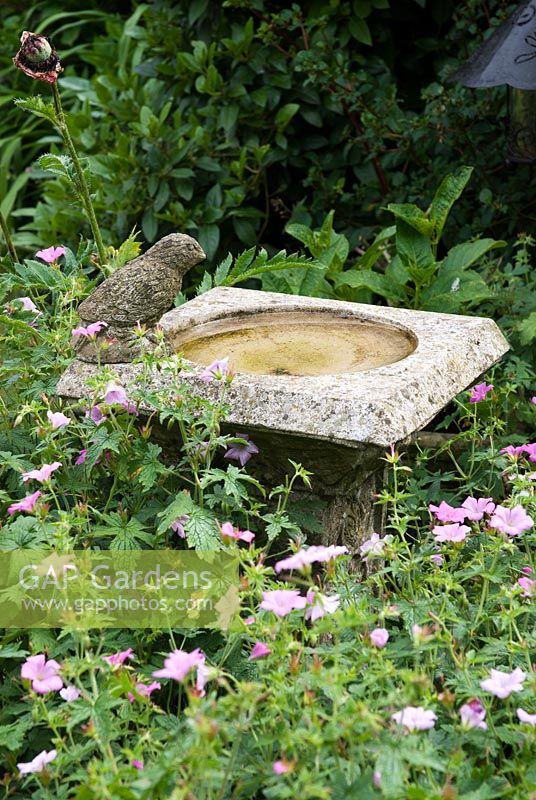 Stone birdbath surrounded by Geranium sanguineum