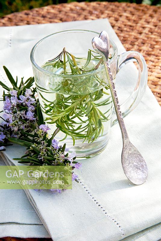 Herbal tea - Rosemary