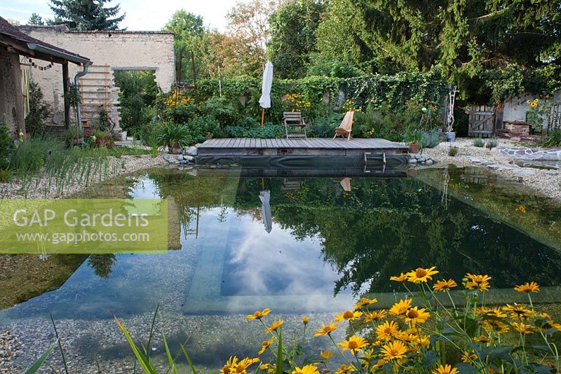 Natural swimming pool, Garden Towanda, Mistelbach Austria
