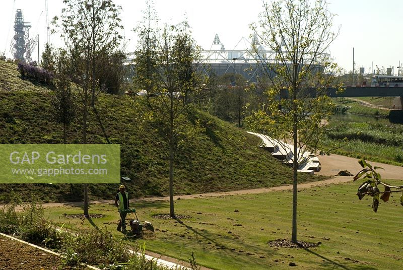 Olympic Park, London. Olympic Stadium and The Orbit in the background. Newly planted trees and  man preparing the lawns to sport's turf quality by removing moss and thatch from the grass with a petrol powered scarifyer. View from the north of the Park to the south. 