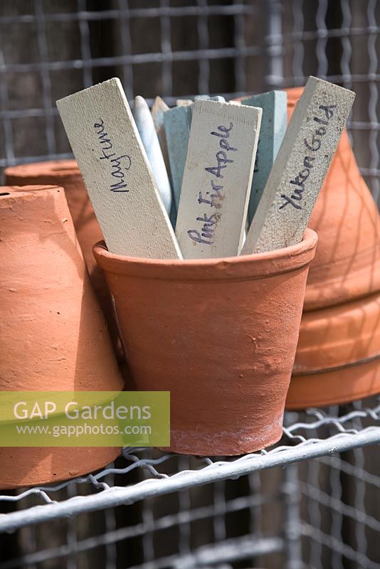 Old terracotta pots with plant labels
