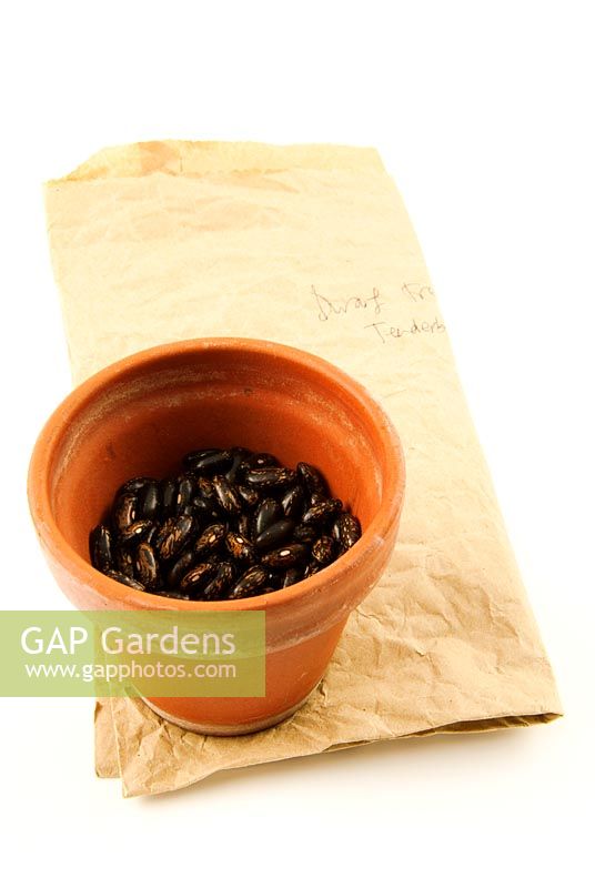 Seeds of Dwarf French Bean 'Tenderbean' in clay pot on paper bag.
