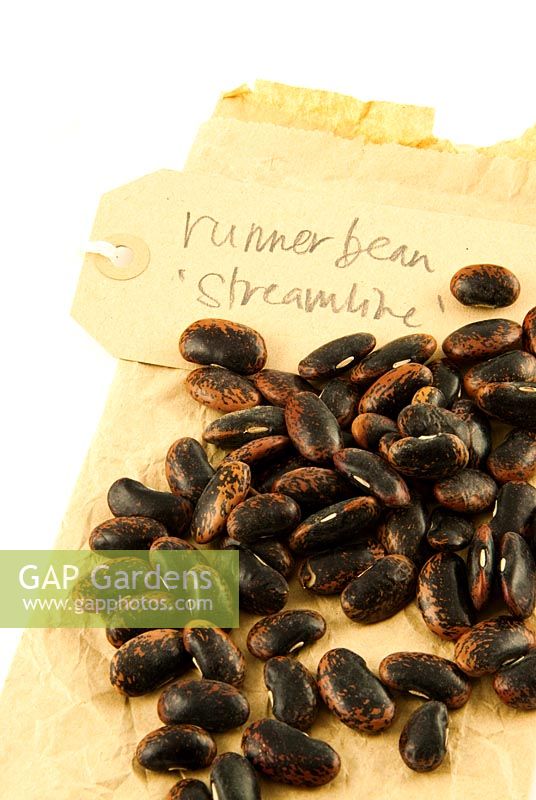Seeds of Runner Bean 'Streamline' with paper bag and label 