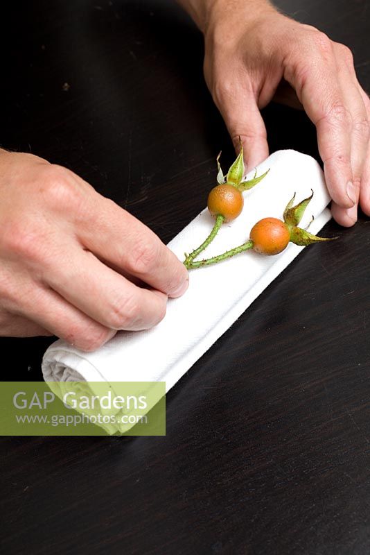 Man rolling napkin with decorative seed heads 