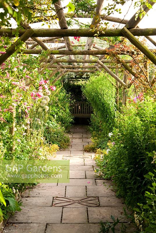 Wooden pergola swathed with golden hop and clematis