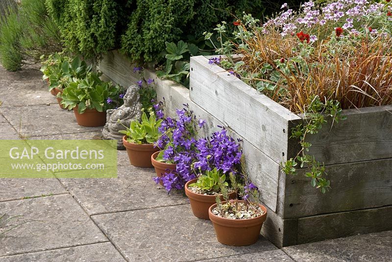 Raised flower bed on flagged patio with arrangement of pots