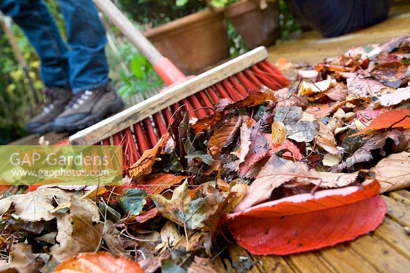 Sweeping leaves from decking
