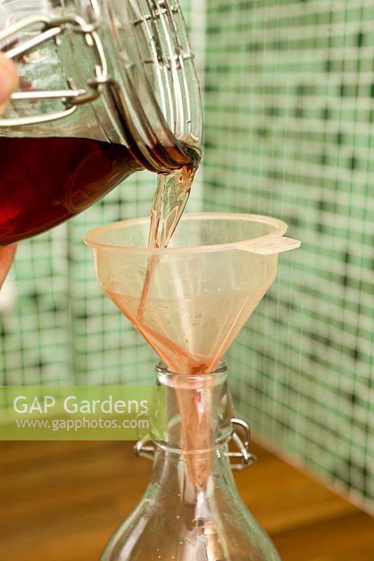 Making home-made Sloe Gin - pouring liquid through funnel into glass bottle 