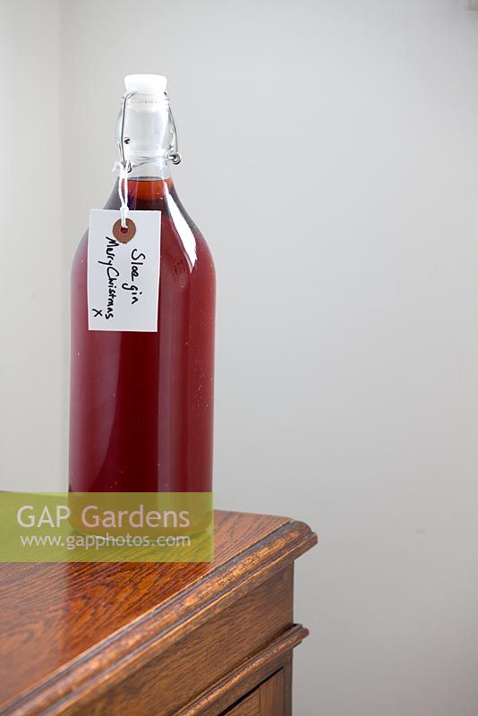 Making home-made Sloe Gin - completed bottle with label 