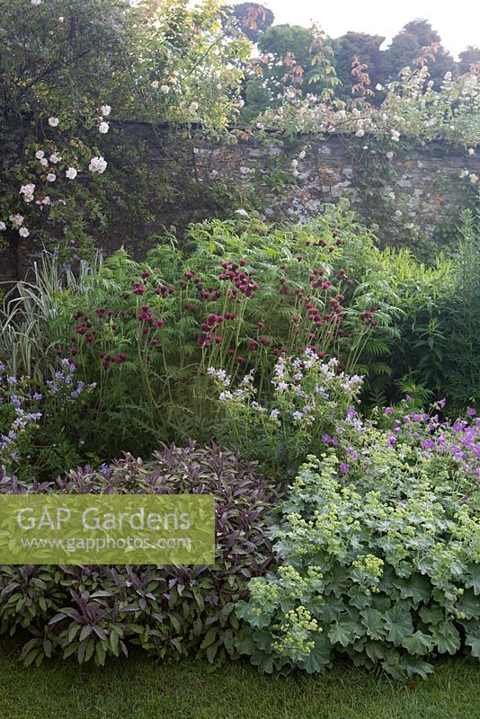 Mixed summer border in walled country garden 