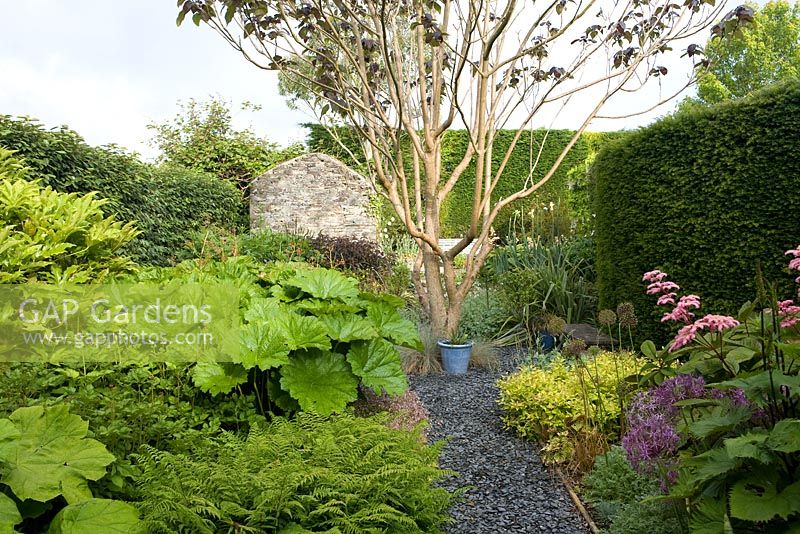 Country garden with mixed summer borders and tree 