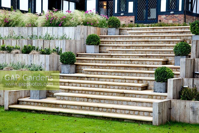Sandstone steps with Buxus - Box topiary in containers.  Terraced beds with wooden retaining walls of Stipa tenuissima, Cosmos, Carex, Euonymus fortunei