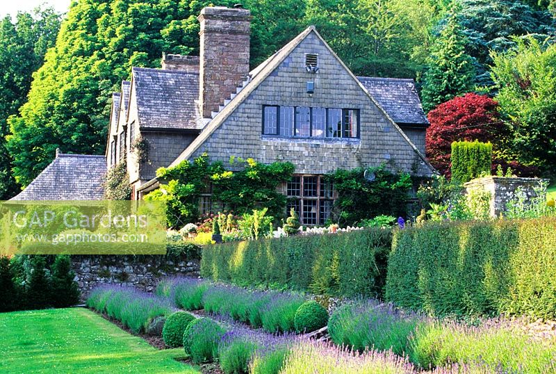 View to house with Lavender edged path (Lavandula 'Munstead') in foreground - High Glanau Manor, Monmouthshire, Wales 