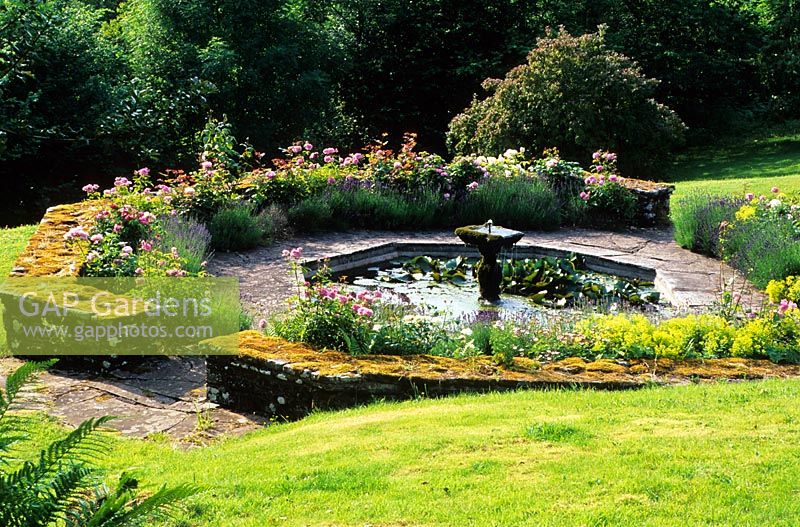 Octagonal pool with Rosa 'Mary Rose', Alchemilla mollis and Lavender - High Glanau Manor, Monmouthshire, Wales 
 