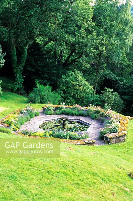 Octagonal pool with fountain surrounded by Rosa 'Mary Rose', Alchemilla mollis and Lavender - High Glanau Manor, Monmouthshire, Wales 

