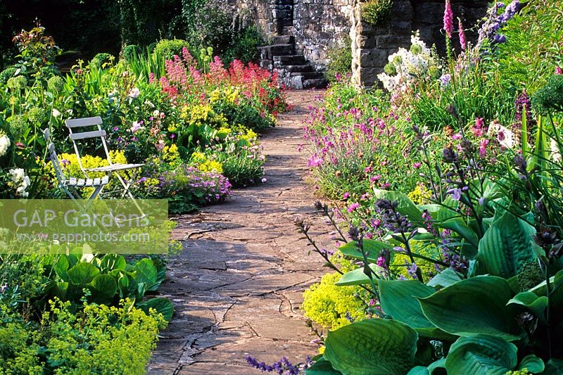 Lower Terrace - Hosta, Geranium, Dianthus - Sweet William,  Digitalis - Foxgloves, Alchemilla mollis, Centranthus - Valerian - High Glanau Manor, Monmouthshire, Wales 