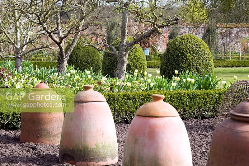 Rhubarb forcers in walled garden - Wretham Lodge, NGS Norfolk
