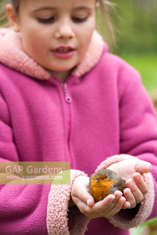 Girl with Robin held in hands.
