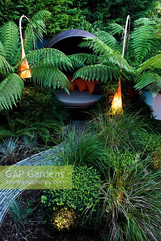 Modern lighting and covered seating area surrounded by Dicksonia antarctica and Polystichum setiferum ferns 