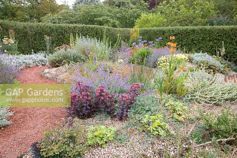 Mediterranean Garden - Eryngium, Agapanthus, Yucca, Phormium, Penstemon, Crocosmia in borders - Barnsdale Gardens