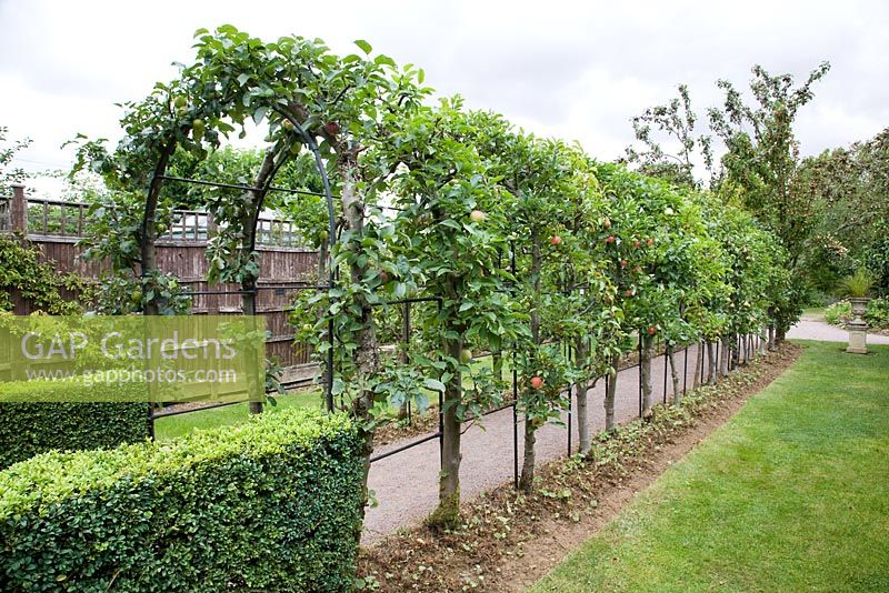 Apple and Pear Tree Arch, Barnsdale Gardens
