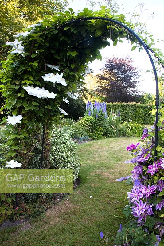 Clematis covered arch -  Priory House
