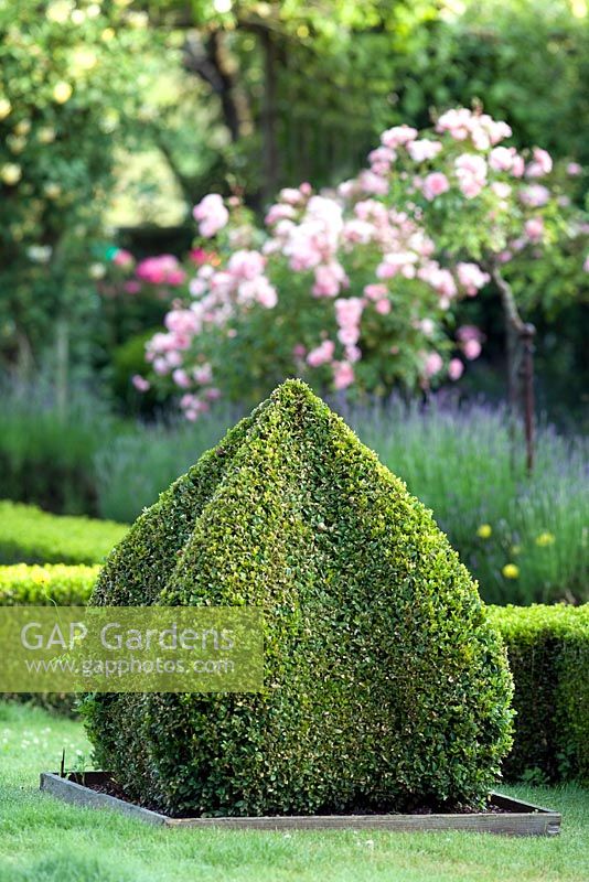 A box topiary shape