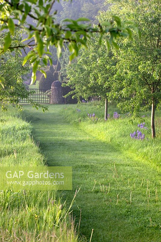 Grass path cuts through the meadow - Somerset Lodge