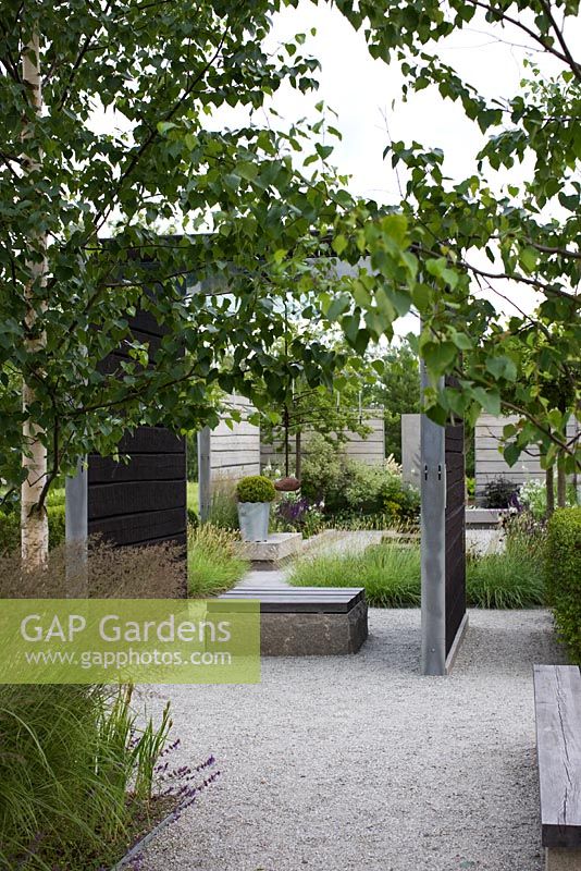Modern minimal garden