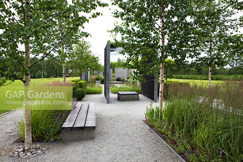 Modern minimal garden with benches made from timber and steel, Betula - Birch trees and rectangular beds of grasses