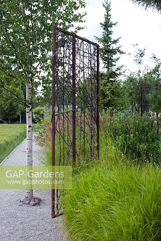 Rusted metal sculpture with Betula - Birch and grasses in modern garden
 