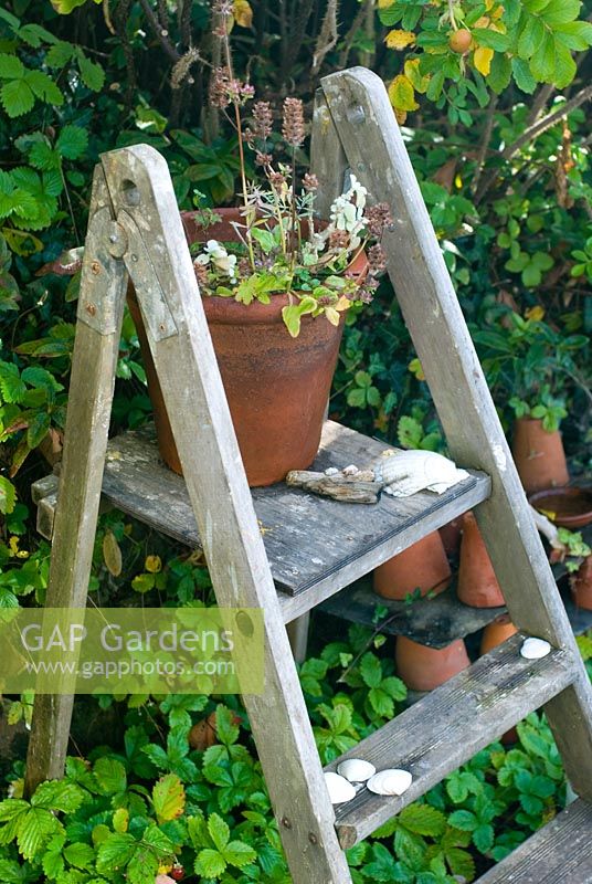 Wooden steps with old clay pots
