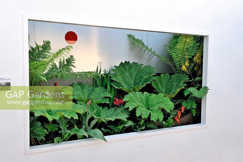 Framed plants - Picturesque Garden - Hampton Court Flower Show 2011 