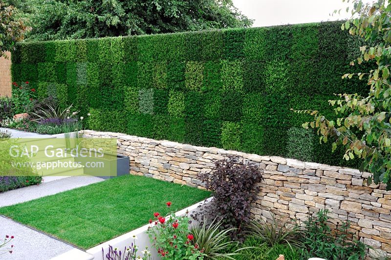 Vertical wall of Heathers using the Vertigarden Modules
