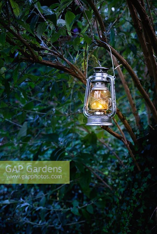 Garden lighting - storm lantern hanging in a tree