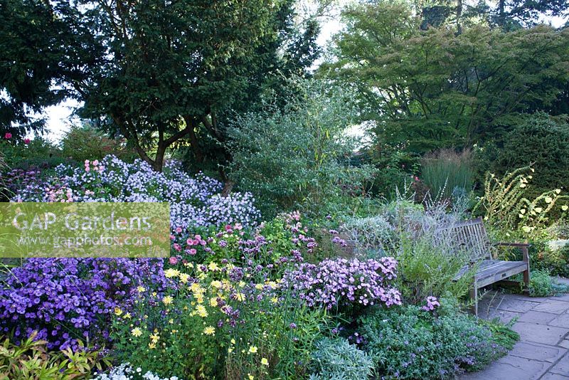 Garden bench sits amonst border of perennials including Asters - Karl Foerster Garden Potsdam Bornim, Germany 
