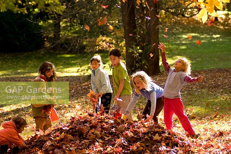 Group of children playing in a pile of autumn leaves