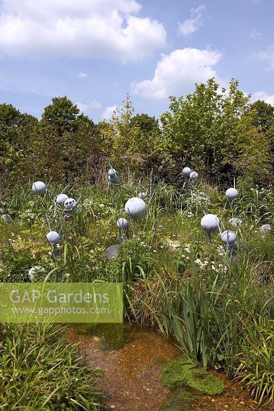 WWF's 50th Anniversary Garden-Why we care about Chalk Streams - RHS Hampton Court Flower Show 2011