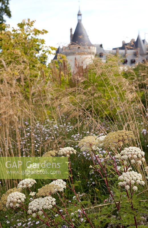 20th International Garden Festival, Chaumont sur Loire, France 2011, with Chateau in background
