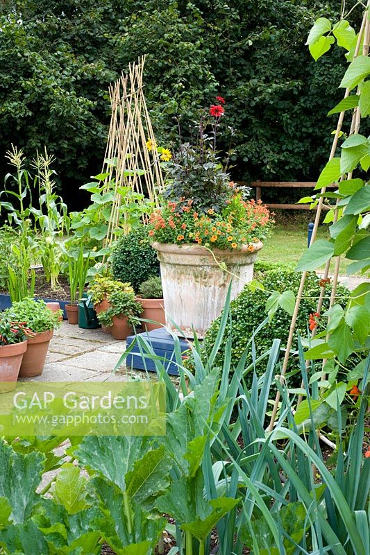 Small vegetable garden with runner beans, leeks and decorative container - Woodpeckers, Essex NGS