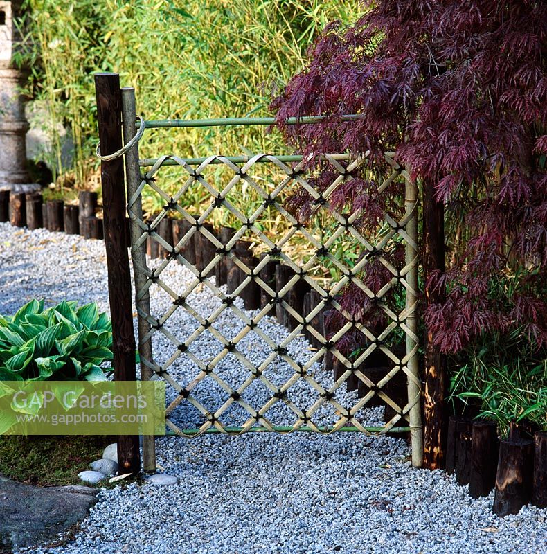 Lattice gate made with bamboo and Acer palmatum dissectum 'Garnet' -  Honda tea garden, RHS Chelsea Flower Show 1995 