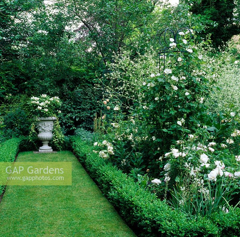 Grass path leading to a planted urn with box edged border including Rosa and crambe cordifolia